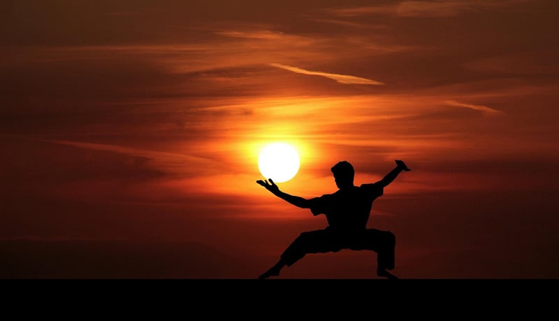 Tai Chi Qigong Silhouette